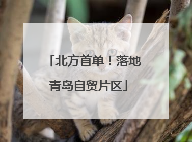 北方首单！落地青岛自贸片区