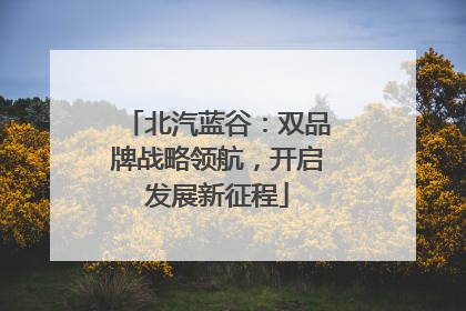 北汽蓝谷：双品牌战略领航，开启发展新征程