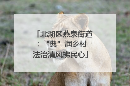 北湖区燕泉街道：“典”润乡村 法治清风拂民心