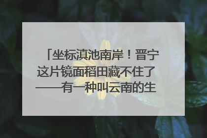 坐标滇池南岸！晋宁这片镜面稻田藏不住了——有一种叫云南的生活之365天