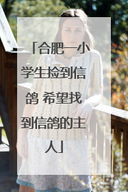 合肥一小学生捡到信鸽 希望找到信鸽的主人