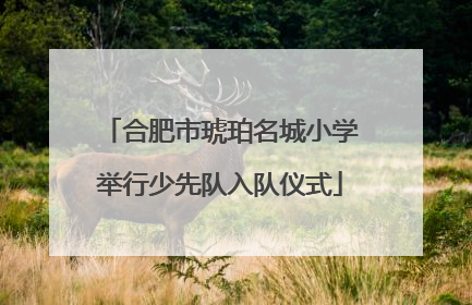 合肥市琥珀名城小学举行少先队入队仪式