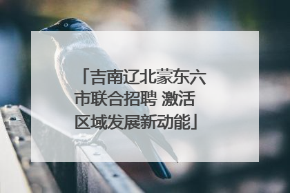 吉南辽北蒙东六市联合招聘 激活区域发展新动能