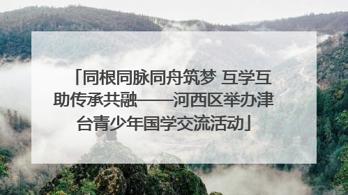同根同脉同舟筑梦 互学互助传承共融——河西区举办津台青少年国学交流活动