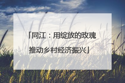 同江：用绽放的玫瑰 推动乡村经济振兴