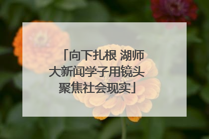 向下扎根 湖师大新闻学子用镜头聚焦社会现实
