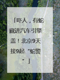 吓人，有蛇藏进汽车引擎盖！北京9天接9起“蛇警”