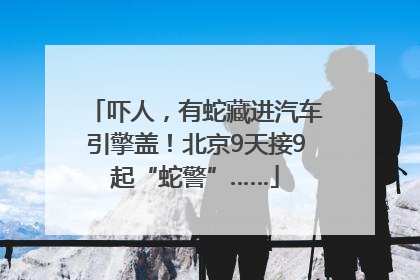 吓人，有蛇藏进汽车引擎盖！北京9天接9起“蛇警”……
