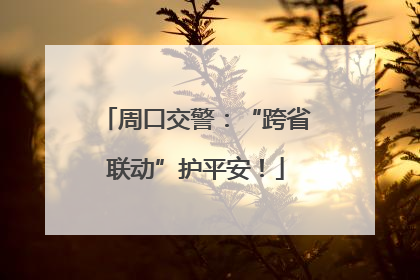 周口交警：“跨省联动”护平安！