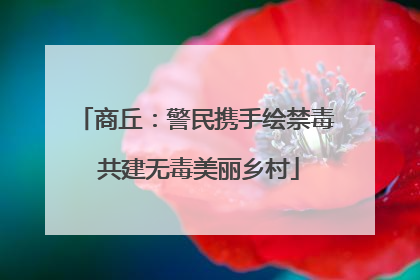 商丘：警民携手绘禁毒 共建无毒美丽乡村