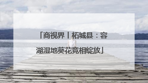 商视界丨柘城县：容湖湿地葵花竞相绽放