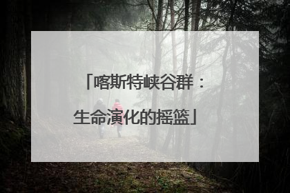 喀斯特峡谷群：生命演化的摇篮