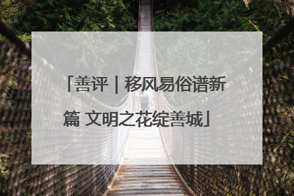 善评｜移风易俗谱新篇 文明之花绽善城