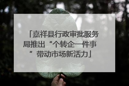 嘉祥县行政审批服务局推出“个转企一件事”带动市场新活力
