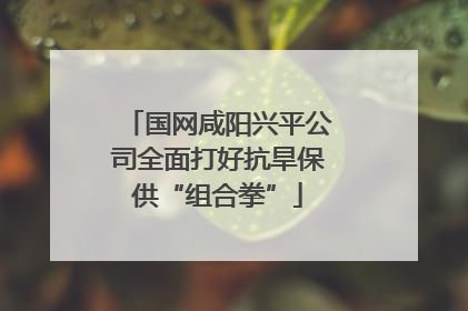 国网咸阳兴平公司全面打好抗旱保供“组合拳”