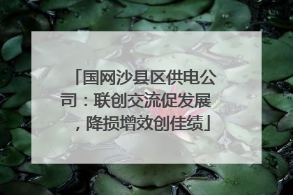 国网沙县区供电公司：联创交流促发展，降损增效创佳绩