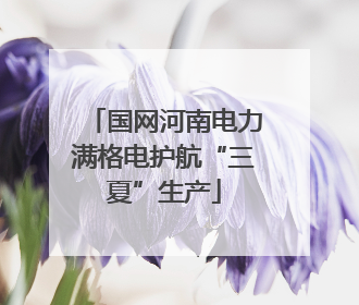 国网河南电力满格电护航“三夏”生产