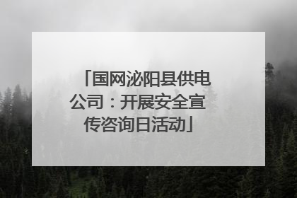 国网泌阳县供电公司：开展安全宣传咨询日活动