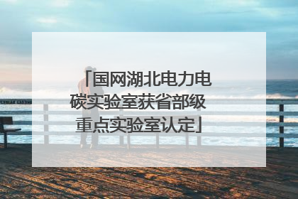 国网湖北电力电碳实验室获省部级重点实验室认定