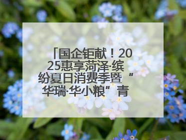 国企钜献！2025惠享菏泽·缤纷夏日消费季暨“华瑞·华小粮”青岛啤酒节启幕！