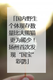 国内野生个体现存数量比大熊猫更为稀少！扬州首次发现“国宝”彩鹮
