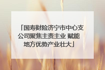国寿财险济宁市中心支公司聚焦主责主业 赋能地方优势产业壮大