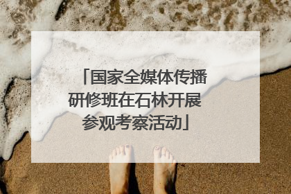 国家全媒体传播研修班在石林开展参观考察活动