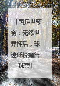 国足世预赛：无缘世界杯后，球迷低价抛售球票