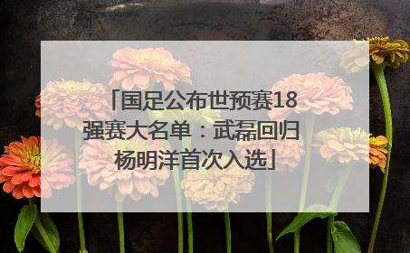 国足公布世预赛18强赛大名单：武磊回归 杨明洋首次入选