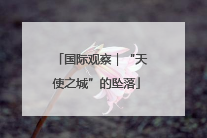 国际观察｜“天使之城”的坠落