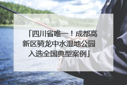 四川省唯一！成都高新区骑龙中水湿地公园入选全国典型案例