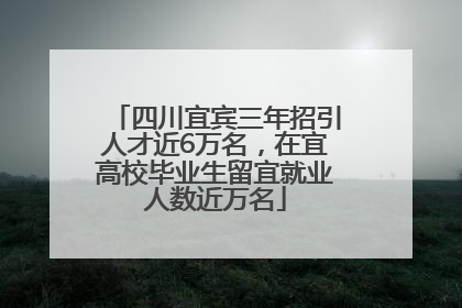 四川宜宾三年招引人才近6万名，在宜高校毕业生留宜就业人数近万名