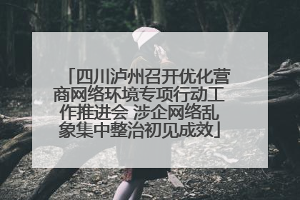 四川泸州召开优化营商网络环境专项行动工作推进会 涉企网络乱象集中整治初见成效