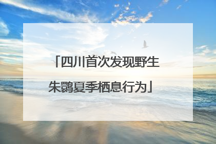 四川首次发现野生朱鹮夏季栖息行为