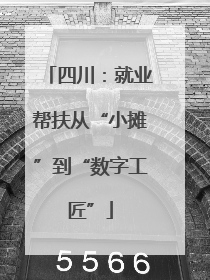 四川：就业帮扶从“小摊”到“数字工匠”