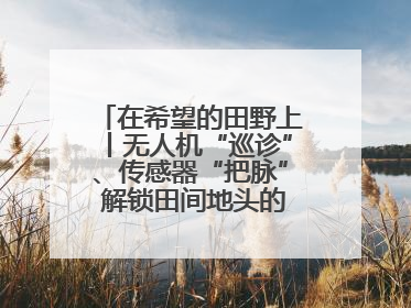 在希望的田野上丨无人机“巡诊”、传感器“把脉” 解锁田间地头的丰收密码