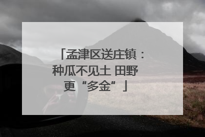 孟津区送庄镇：种瓜不见土 田野更“多金”