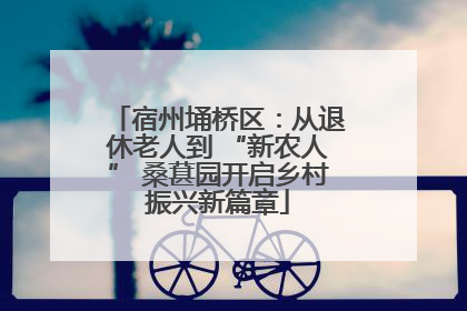宿州埇桥区：从退休老人到 “新农人” 桑葚园开启乡村振兴新篇章