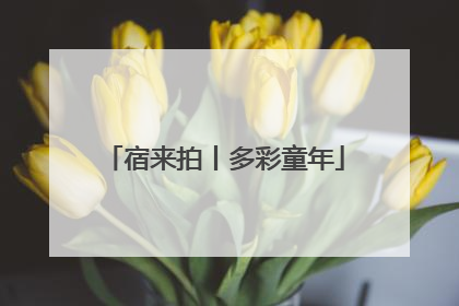 宿来拍丨多彩童年