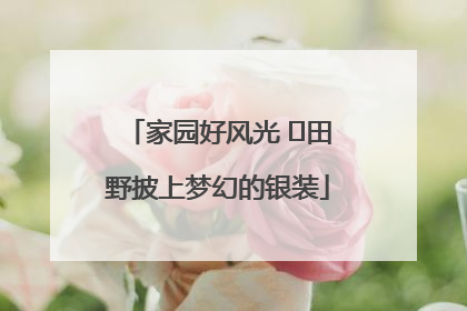 家园好风光 ⎮田野披上梦幻的银装