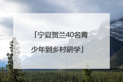 宁夏贺兰40名青少年到乡村研学