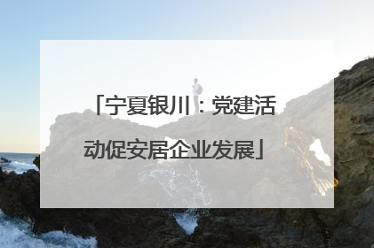 宁夏银川：党建活动促安居企业发展