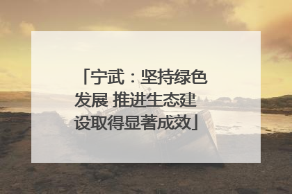 宁武：坚持绿色发展 推进生态建设取得显著成效