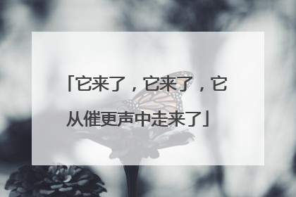 它来了，它来了，它从催更声中走来了