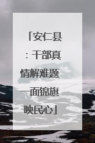 安仁县：干部真情解难题一面锦旗映民心