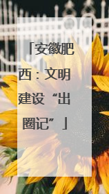 安徽肥西：文明建设“出圈记”