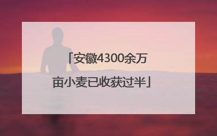 安徽4300余万亩小麦已收获过半