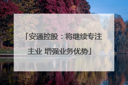 安通控股：将继续专注主业 增强业务优势