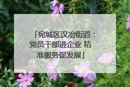 宛城区汉冶街道：党员干部进企业 精准服务促发展