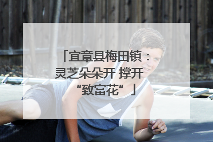 宜章县梅田镇：灵芝朵朵开 撑开“致富花”